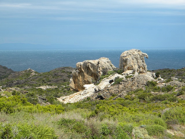 img-2